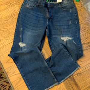 Dip Denim Boyfriend Fit Jean Size 10